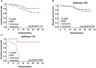 Oncological outcomes of sequential laparoscopic gastrectomy after treatment with camrelizumab combined with nab-paclitaxel plus S-1 for gastric cancer with serosal invasion